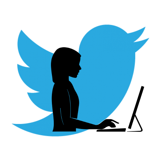 Twitter Logo with Silhouette of Womon Working on Computer